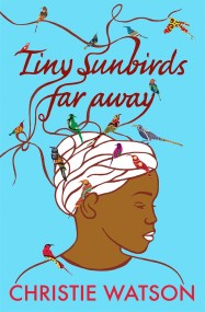 Tiny Sunbirds Far Away