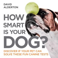 How Smart Is Your Dog?