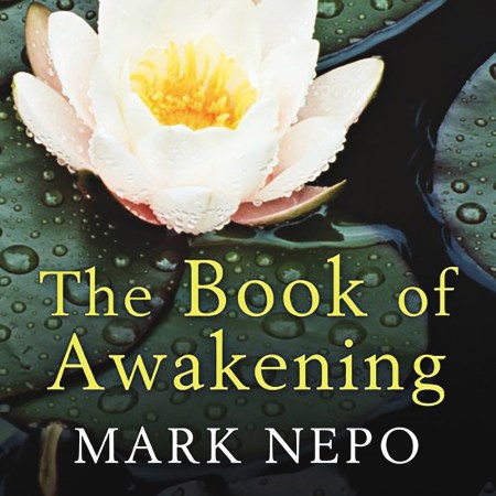 The Book of Awakening
