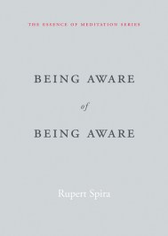 Being Aware of Being Aware