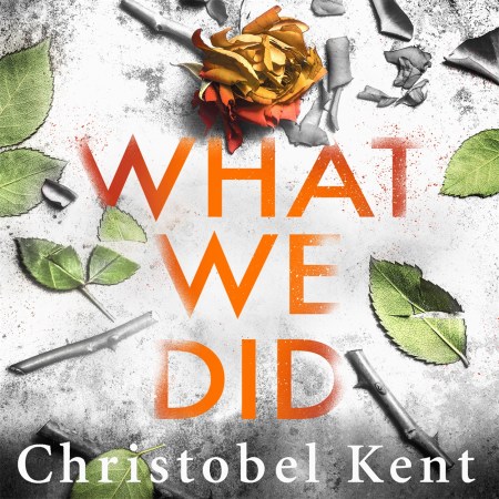 What We Did