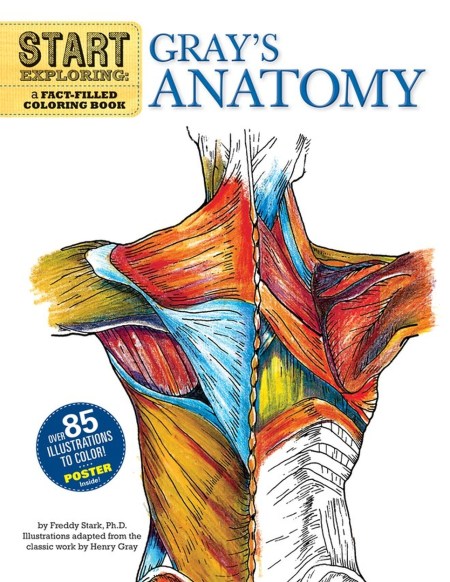 Start Exploring: Gray’s Anatomy