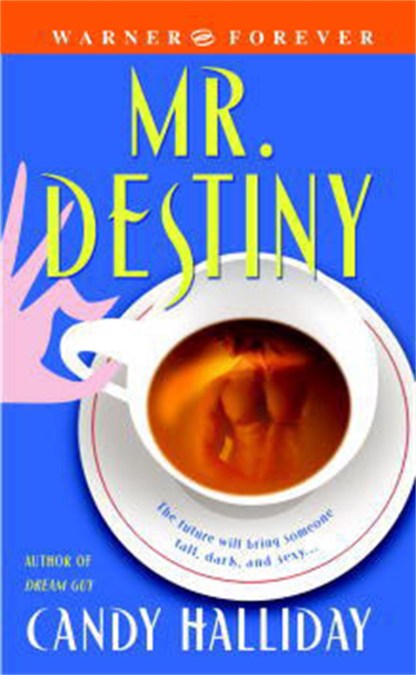 Mr Destiny