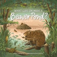 What Goes on inside a Beaver Pond?