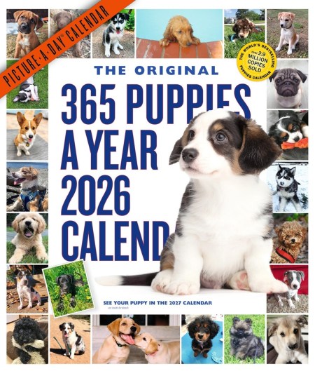 365 Puppies-A-Year Picture-A-Day® Wall Calendar 2026