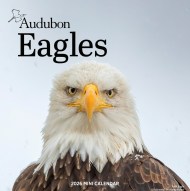 Audubon Eagles Mini Wall Calendar 2026