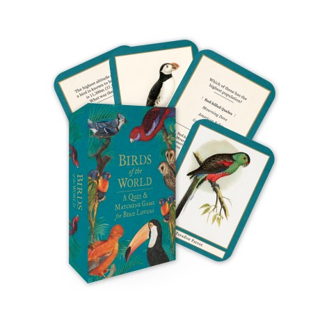 Birds of the World: A quiz & matching game for bird lovers