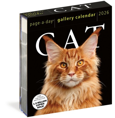 Cat Page-A-Day® Gallery Calendar 2026