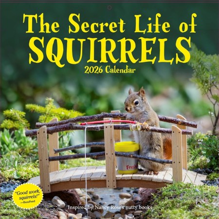 Secret Life of Squirrels Wall Calendar 2026