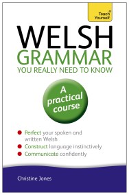 Welsh Grammar You Really Need to Know: Teach Yourself