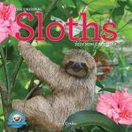 Original Sloths Mini Wall Calendar 2026