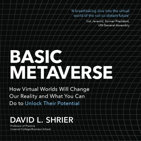 Basic Metaverse