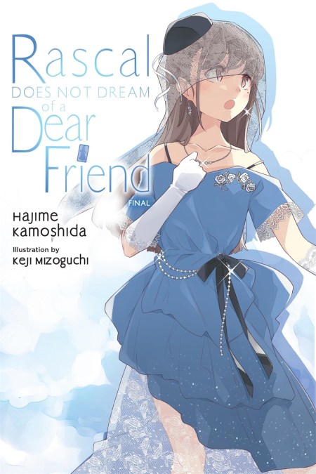 Rascal Does Not Dream of a Dear Friend (light novel)