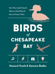 Birds of the Chesapeake Bay