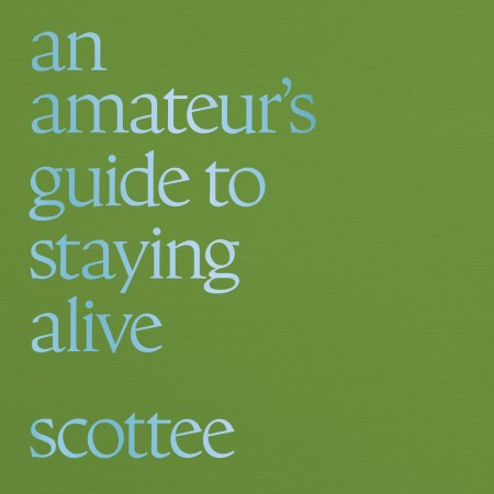 an amateur’s guide to staying alive