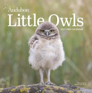 Audubon Little Owls Mini Wall Calendar 2027