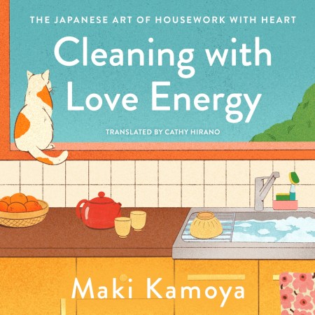 Cleaning with Love Energy