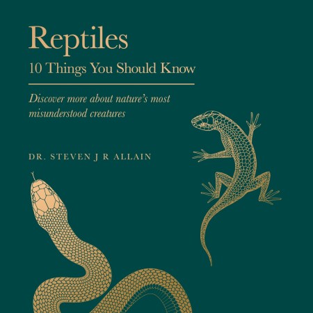 Reptiles