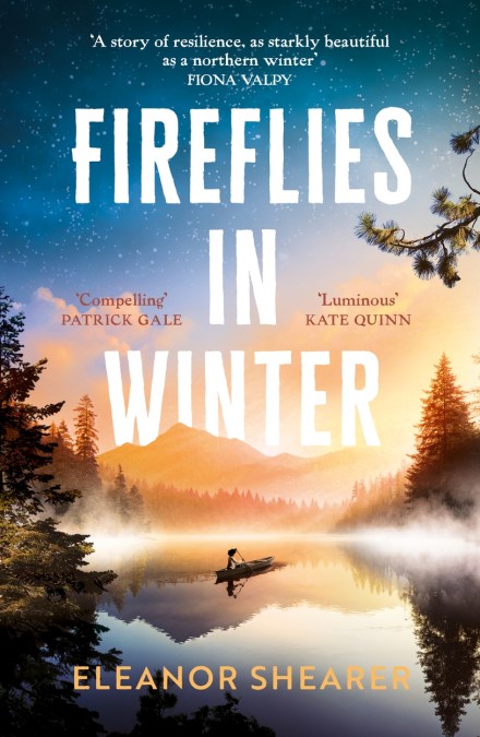Fireflies in Winter
